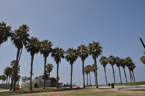DSC_0634s.jpg
